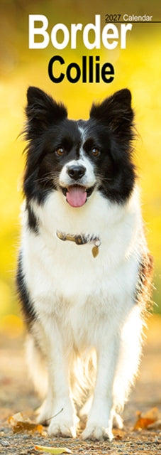 Cover image for 9781806481989 - Border Collie Slim