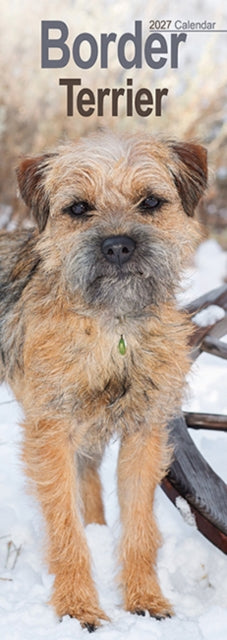 Cover image for 9781806481996 - Border Terrier Slim