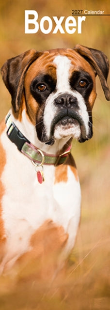 Cover image for 9781806482009 - Boxer Slim