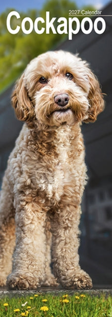Cover image for 9781806482023 - Cockapoo Slim