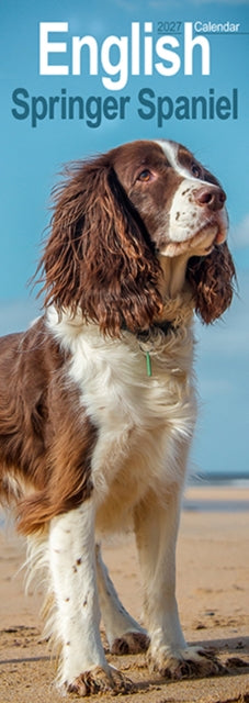 Cover image for 9781806482054 - English Springer Spaniel Slim