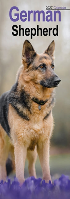Cover image for 9781806482078 - German Shepherd Slim