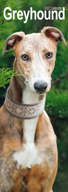Cover image for 9781806482092 - Greyhound Slim