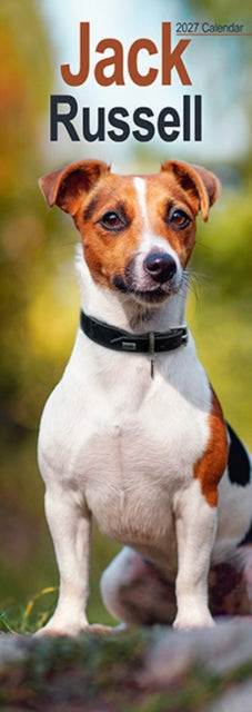 Cover image for 9781806482108 - Jack Russell Slim