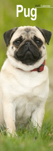 Cover image for 9781806482146 - Pug Slim