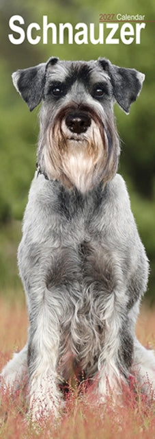 Cover image for 9781806482160 - Schnauzer Slim