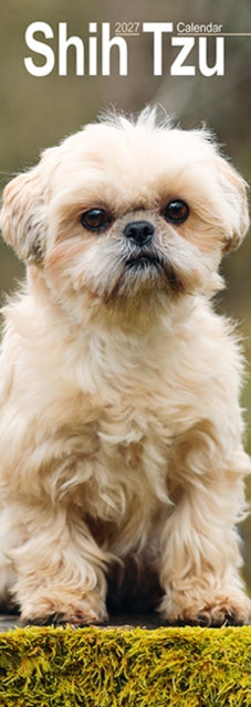 Cover image for 9781806482177 - Shih Tzu Slim