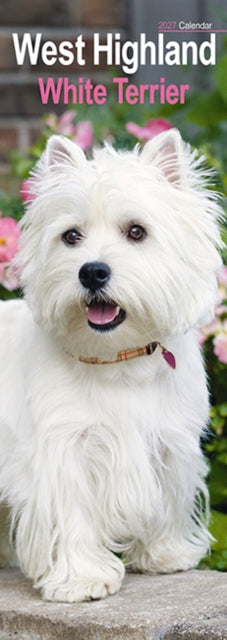 Cover image for 9781806482191 - West Highland White Terrier Slim