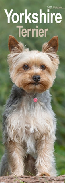 Cover image for 9781806482207 - Yorkshire Terrier Slim