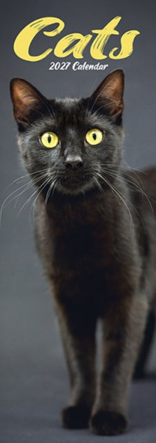 Cover image for 9781806482238 - Cats Slim