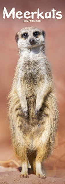 Cover image for 9781806482290 - Meerkats Slim