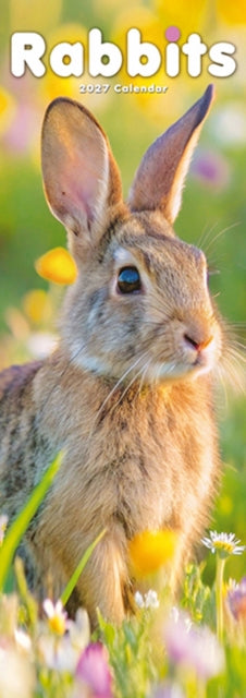 Cover image for 9781806482313 - Rabbits Slim