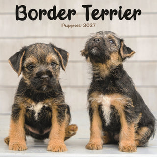 Cover image for 9781806482382 - Border Terrier Puppies Mini