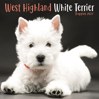 Cover image for 9781806482535 - West Highland White Terrier Puppies Mini