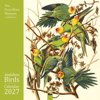 Cover image for 9781806941025 - Fitzwilliam Museum: Audubon Birds Wall Calendar 2027 (Art Calendar)