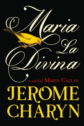 Cover image for 9781835014769 - Maria La Divina