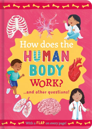 Cover image for 9781835090039 - How Does the Human Body Work?