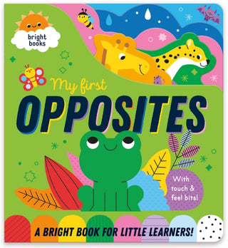 Cover image for 9781835090237 - My First Opposites