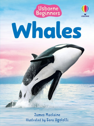 Cover image for 9781835409039 - Beginners Whales