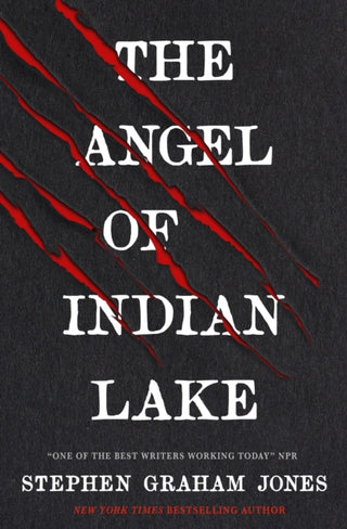 Cover image for 9781835410264 - The Angel of Indian Lake