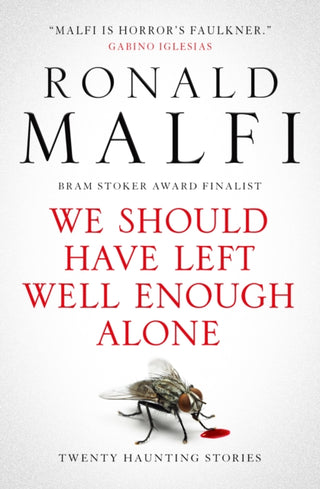 Cover image for 9781835410608 - We Should Have Left Well Enough Alone