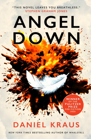 Cover image for 9781835415382 - Angel Down