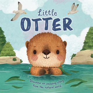 Cover image for 9781835440674 - Little Otter