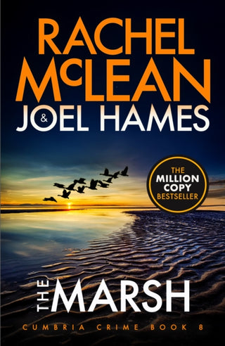 Cover image for 9781835602478 - The Marsh