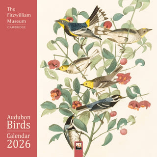 Cover image for 9781835623985 - Fitzwilliam Museum: Audubon Birds Wall Calendar 2026 (Art Calendar)