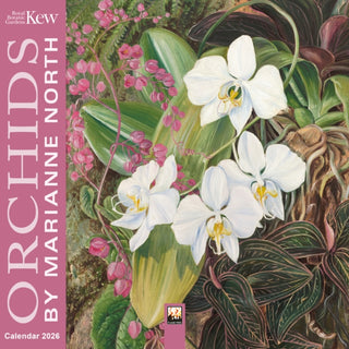 Cover image for 9781835624296 - Kew Gardens: Orchids by Marianne North Mini Wall Calendar 2026 (Art Calendar)