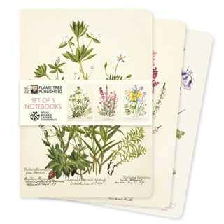 Cover image for 9781835628591 - Royal Botanic Gardens Edinburgh Set of 3 Standard Notebooks