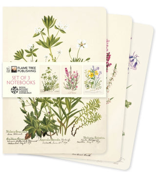 Cover image for 9781835628591 - Royal Botanic Gardens Edinburgh Set of 3 Standard Notebooks