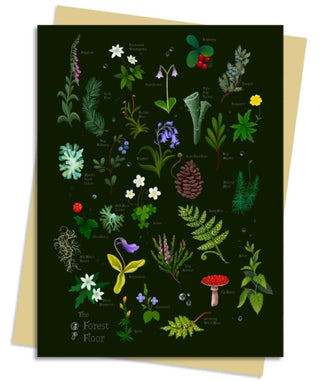Cover image for 9781835628843 - Anna Stead Forest Floor Greeting Card Pack
