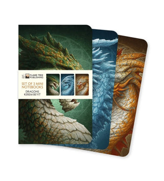 Cover image for 9781835629154 - Dragons by Kerem Beyit Set of 3 Mini Notebooks