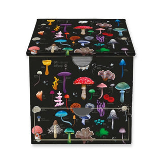 Cover image for 9781835629178 - Anna Stead: Mushrooms & Fungi Memo Box with Drawer