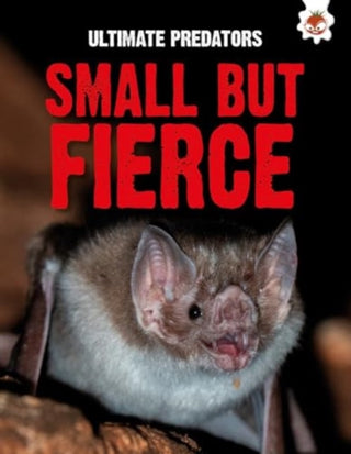 Supplemental image for 9781835690772 - Ultimate Predators: Small but Fierce