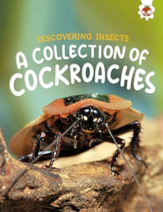 Cover image for 9781835694152 - Discovering Insects: A Collection of Cockroaches