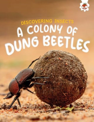 Cover image for 9781835694169 - Discovering Insects: A Colony of Dung Beetles