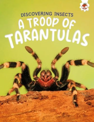 Supplemental image for 9781835694176 - Discovering Insects: A Troop of Tarantulas
