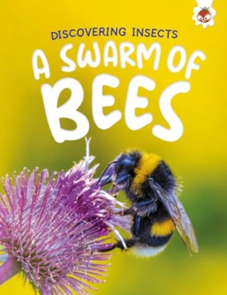 Supplemental image for 9781835694206 - Discovering Insects: A Swarm of Bees