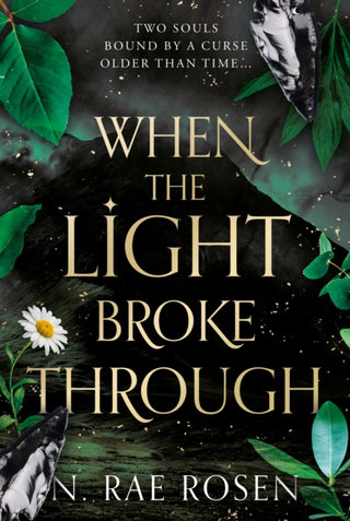 Cover image for 9781835744598 - When the Light Broke Through