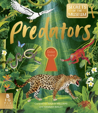 Cover image for 9781835873861 - Secrets of the Museum: Predators