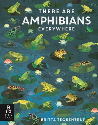 Cover image for 9781835878583 - There Are Amphibians Everywhere