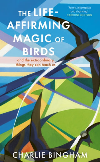 Cover image for 9781836002253 - The Life-Affirming Magic of Birds