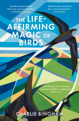 Cover image for 9781836002260 - The Life-Affirming Magic of Birds