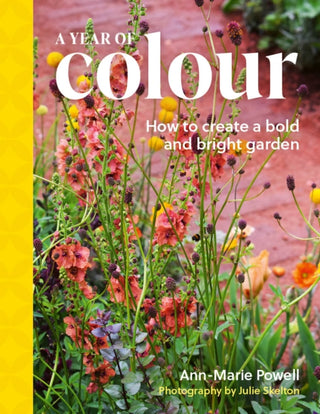 Cover image for 9781836003502 - A Year of Colour