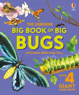 Cover image for 9781836040255 - Big Book of Big Bugs