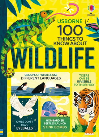Cover image for 9781836040279 - 100 Things to Know About Wildlife
