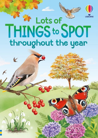 Cover image for 9781836042969 - Lots of Things to Spot throughout the year