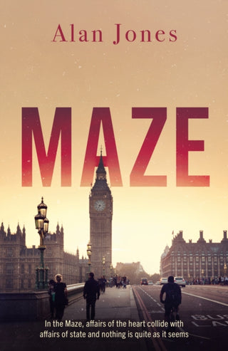 Cover image for 9781836284383 - Maze
